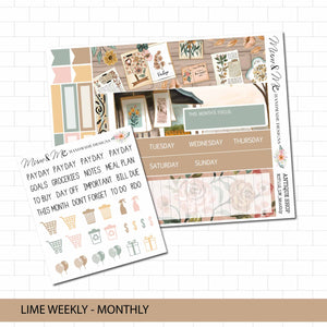 Lime Monthly: Antique Shop