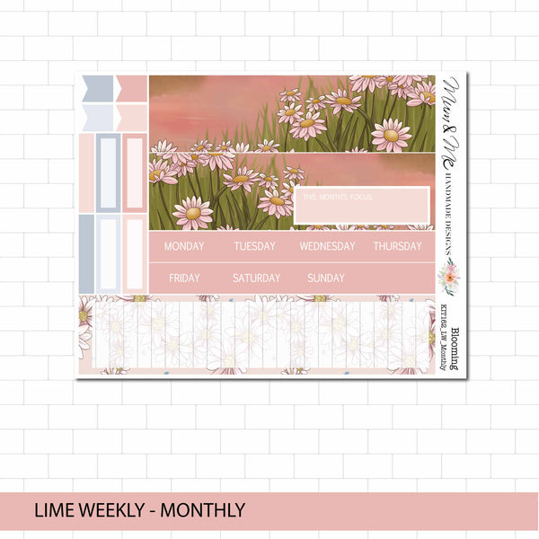 Lime Monthly: Blooming
